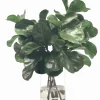 FIDDLE LEAF IN VASE 30''