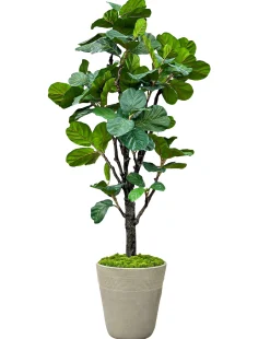 Fiddle Leaf Tree in Planter 96"