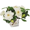 Gardenia Jubilation in Cube 12"