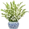 GLADIOLUS IN OVAL PLANTER 29"