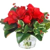 Holiday Amaryllis Holly Vase 12"