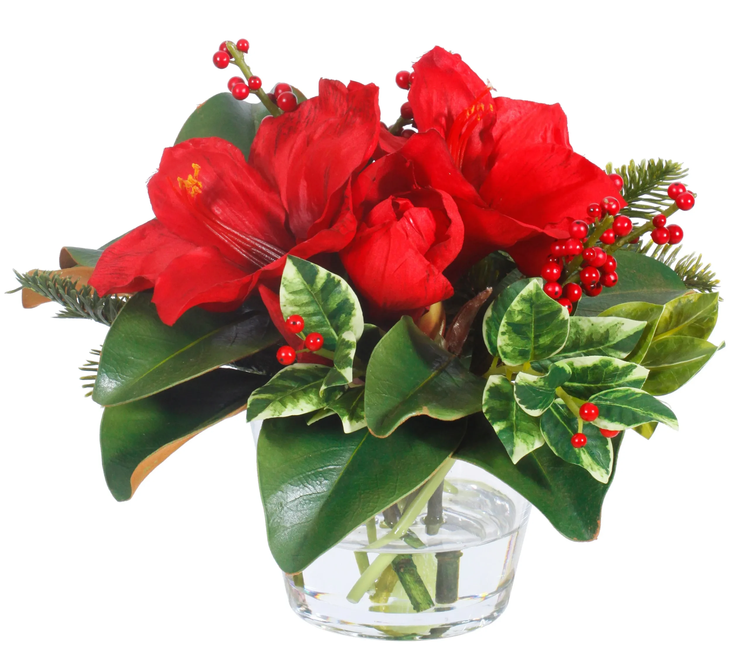 Holiday Amaryllis Holly Vase 12"