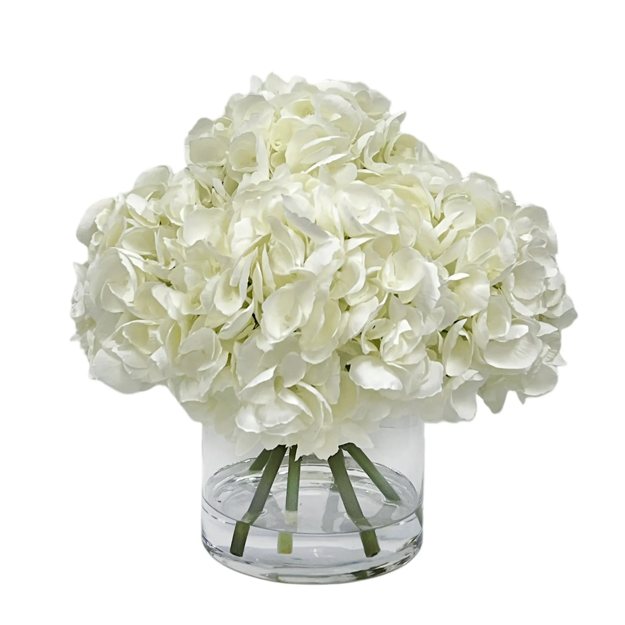 Hydrangea in Glass