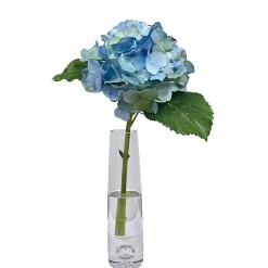 Hydrangea in Vase 18"