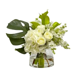 Hydrangea Split Philo in Vase