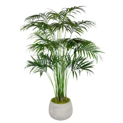 KENTIA PALM IN STONECAST PLANTER 7'