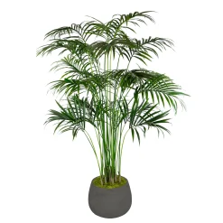 KENTIA PALM IN STONECAST PLANTER 7'