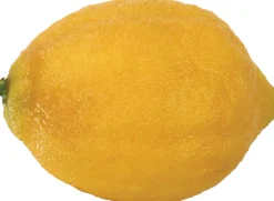 Lemon Eureka (set of 12)