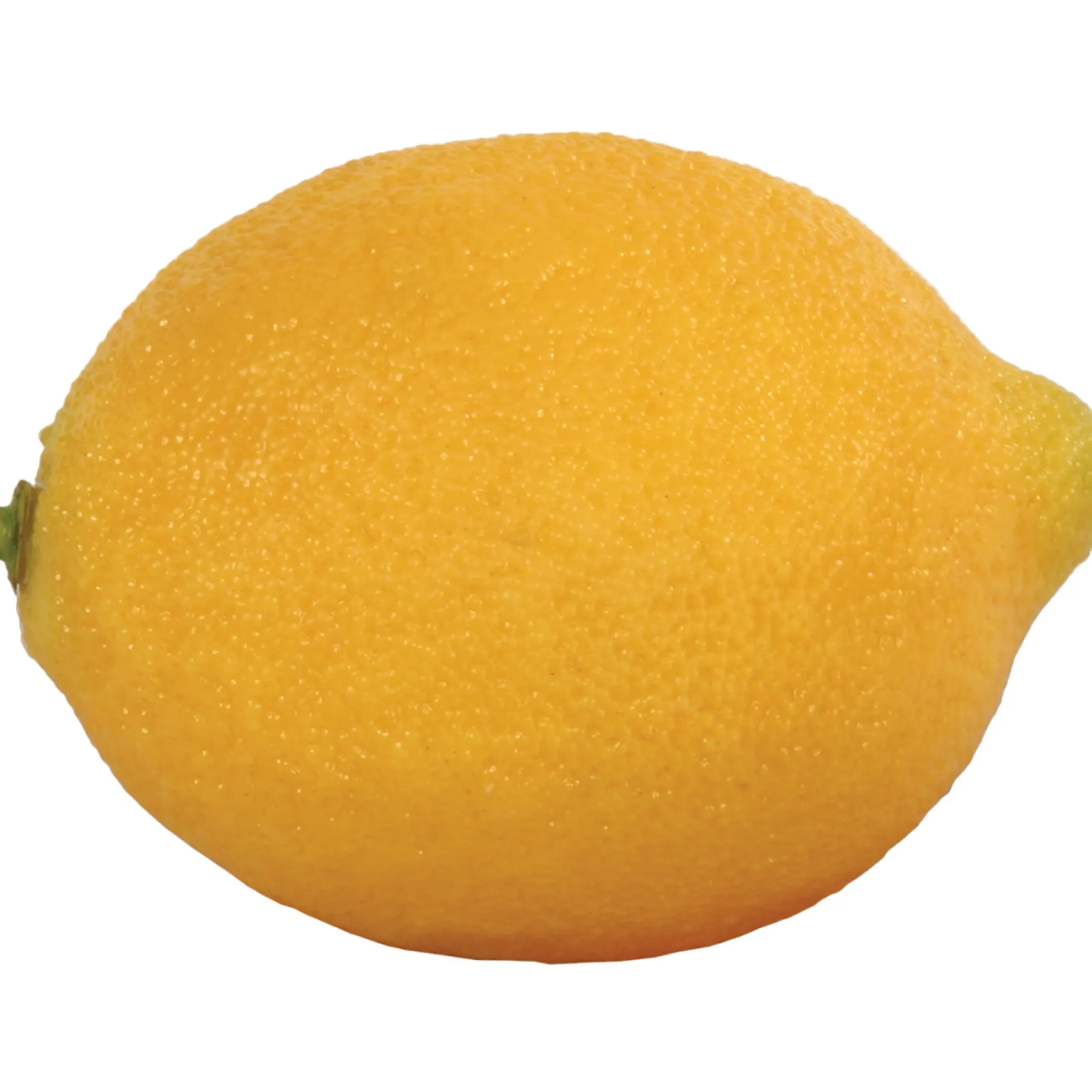 Lemon (set of 12)