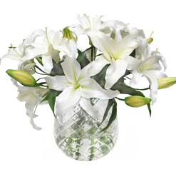 Lily Casablanca in Diamond Cut Vase 17"