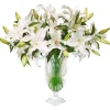 LILY CASABLANCA IN STRIPE CUT VASE 31"