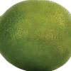 Lime (set of 12)