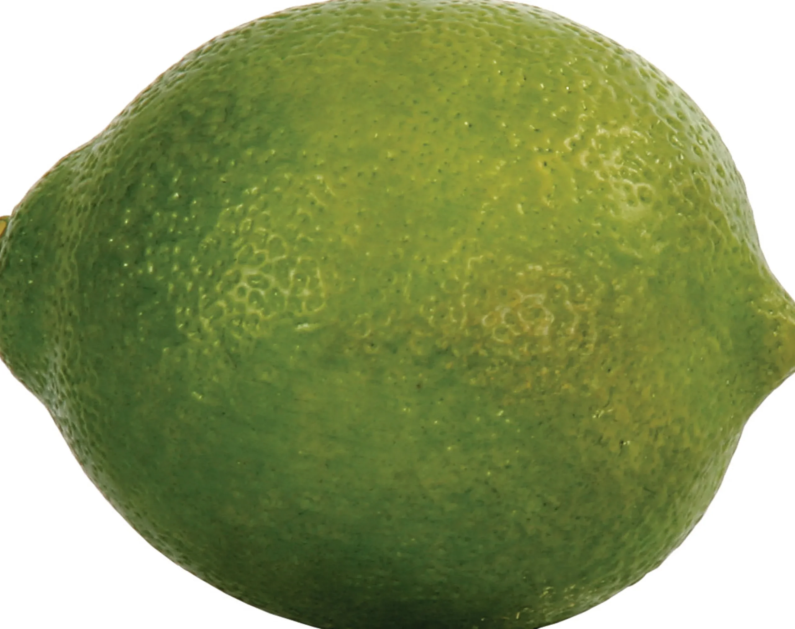Lime (set of 12)
