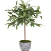 Long Eucalyptus in Cache Pot 30"