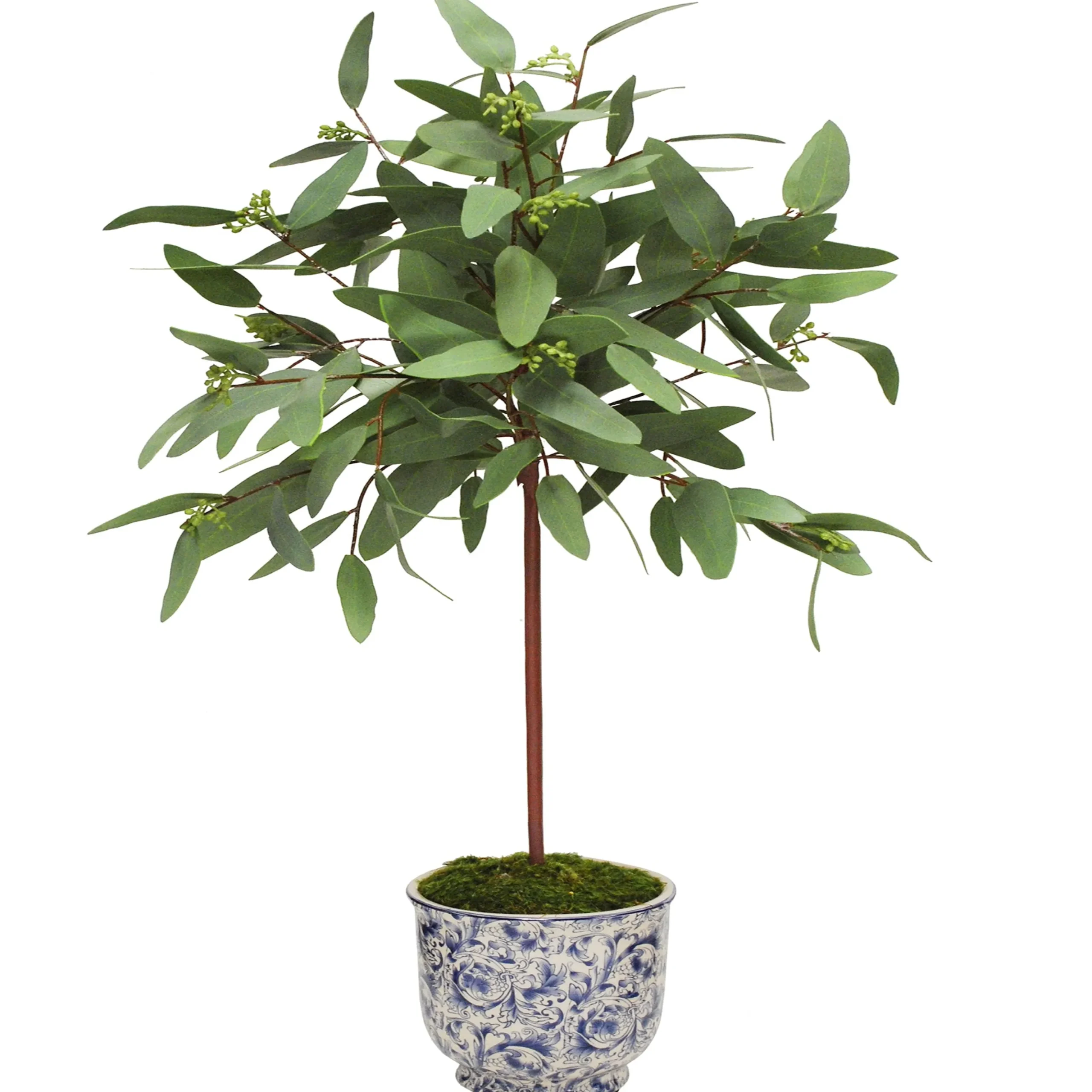 Long Eucalyptus in Cache Pot 30"