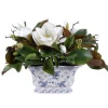 MAGNOLIA IN CHINOISERIE POT 16"