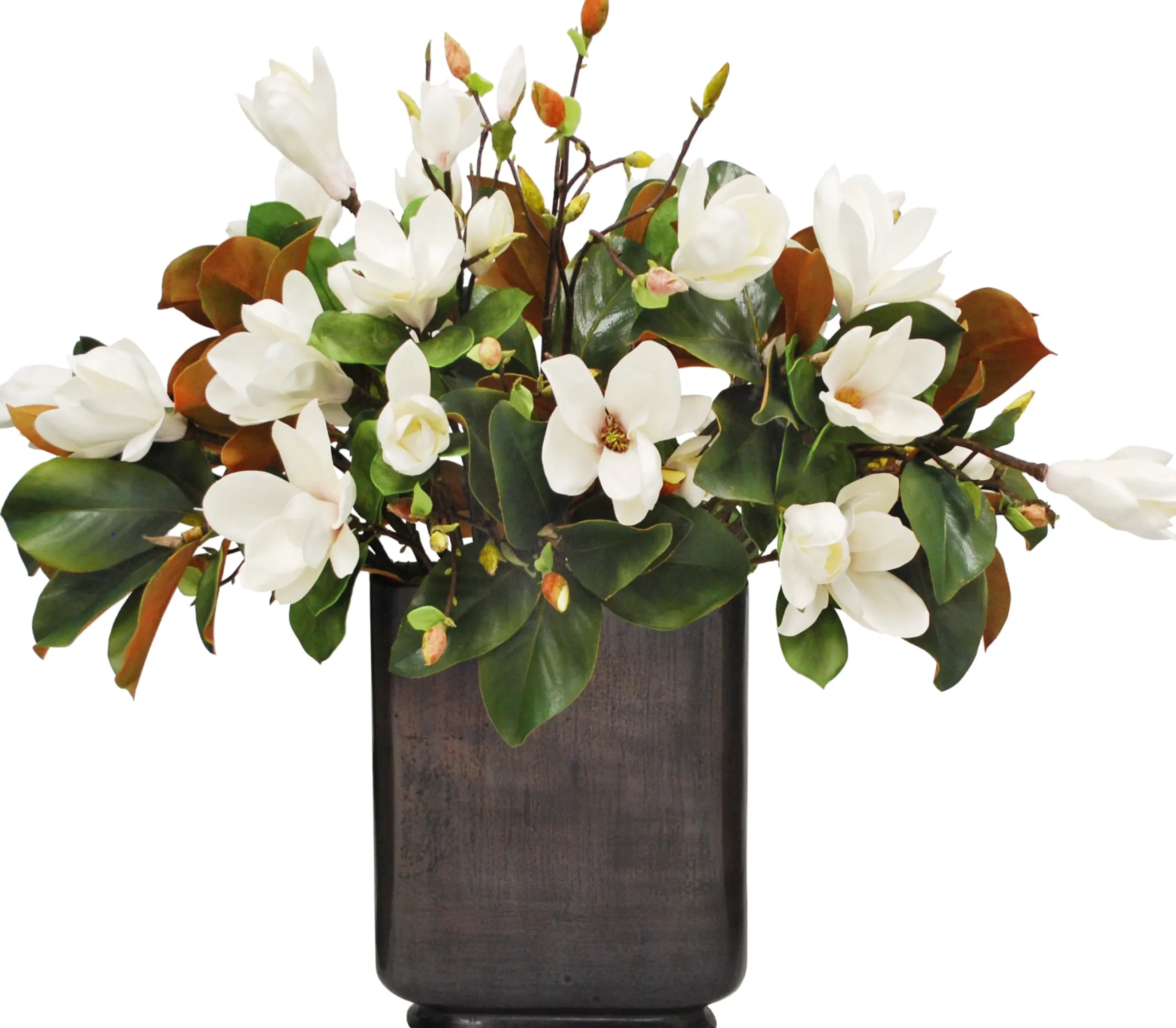 MAGNOLIA IN FOOTED PROFILE VASE 37"