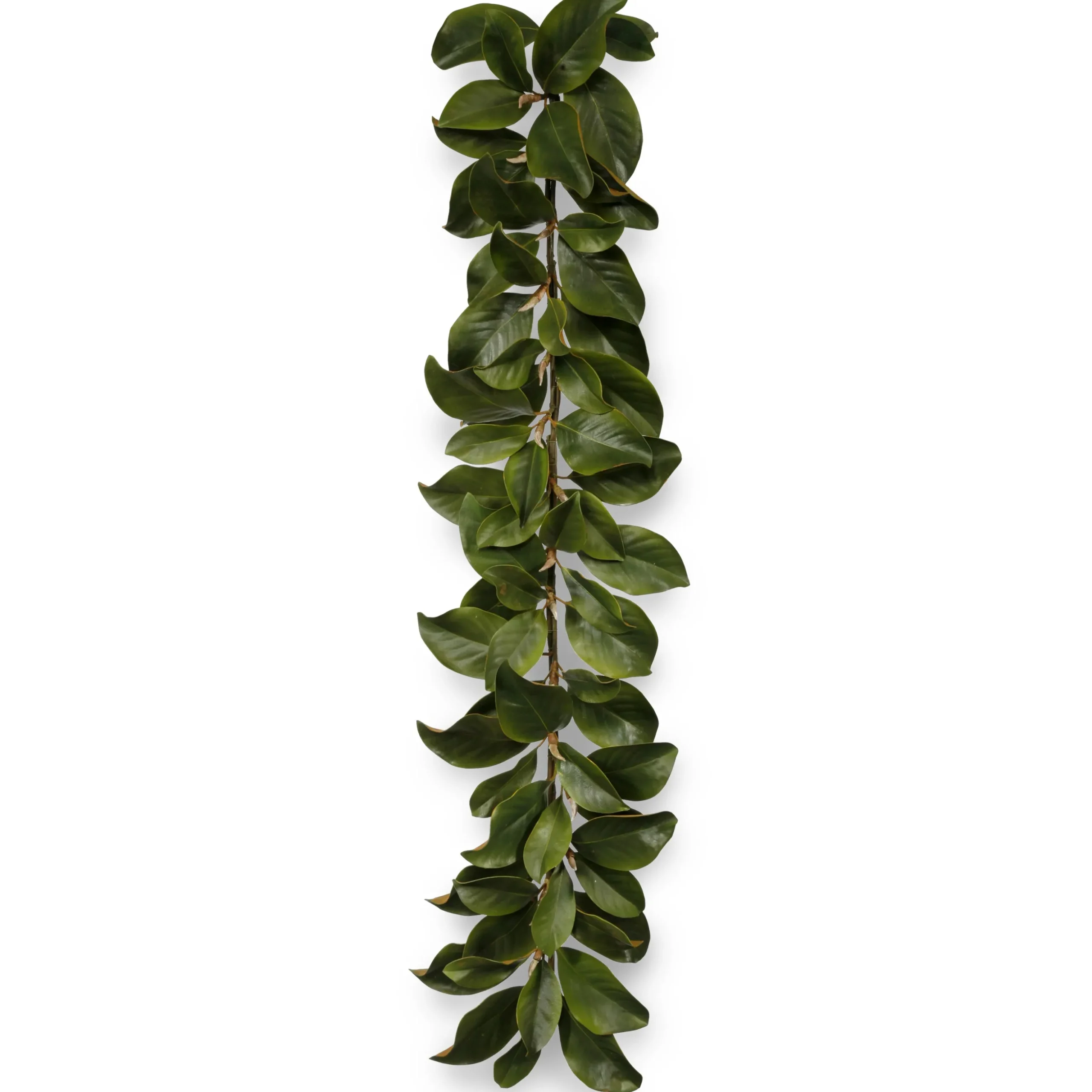 Magnolia Leaf Garland 5-ft long