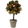 Magnolia Leaf in Pot 26"