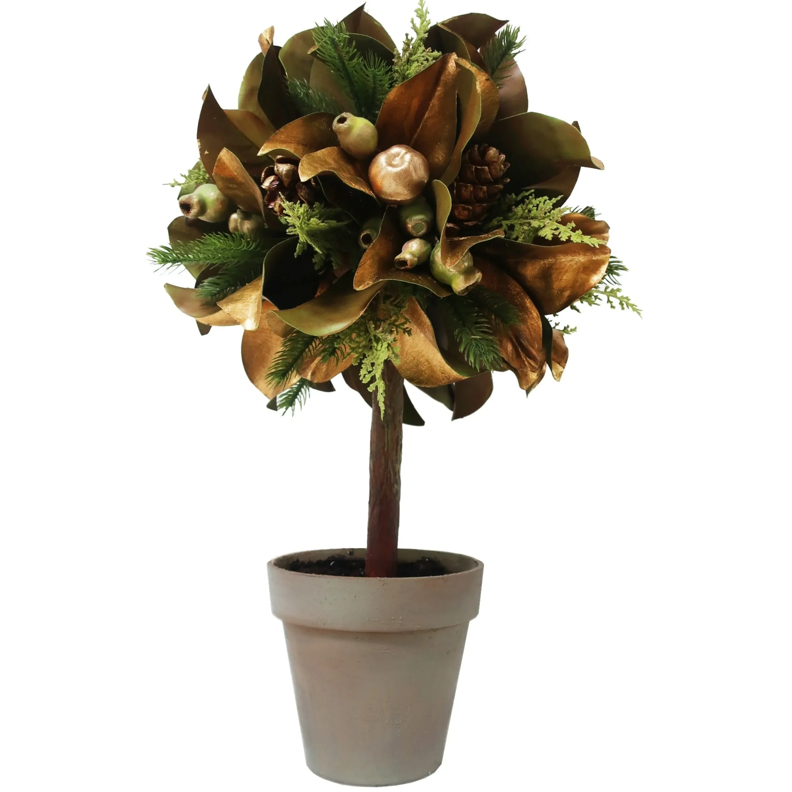 Magnolia Leaf in Pot 26"