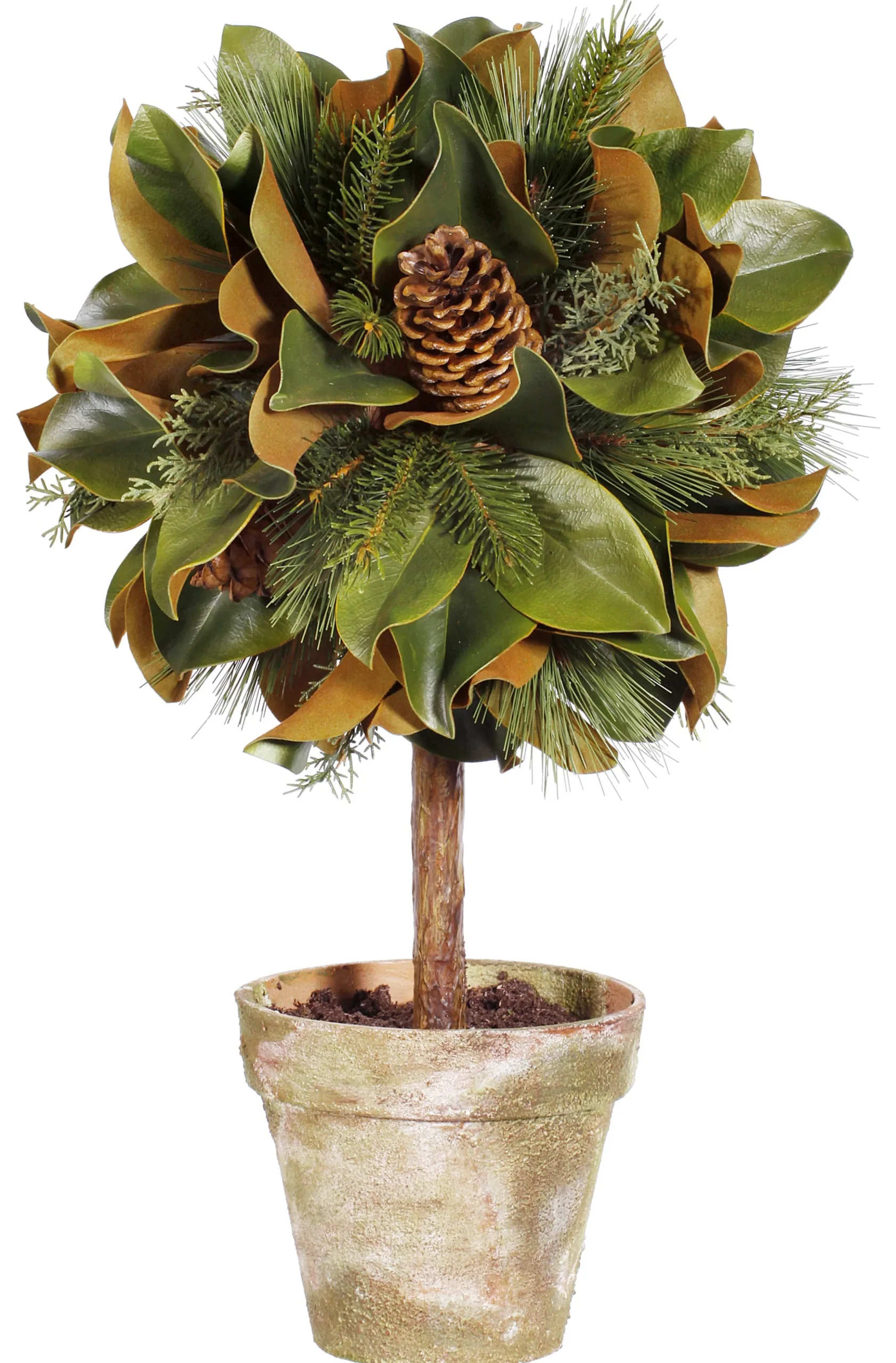 Magnolia Leaf Topiary 26"