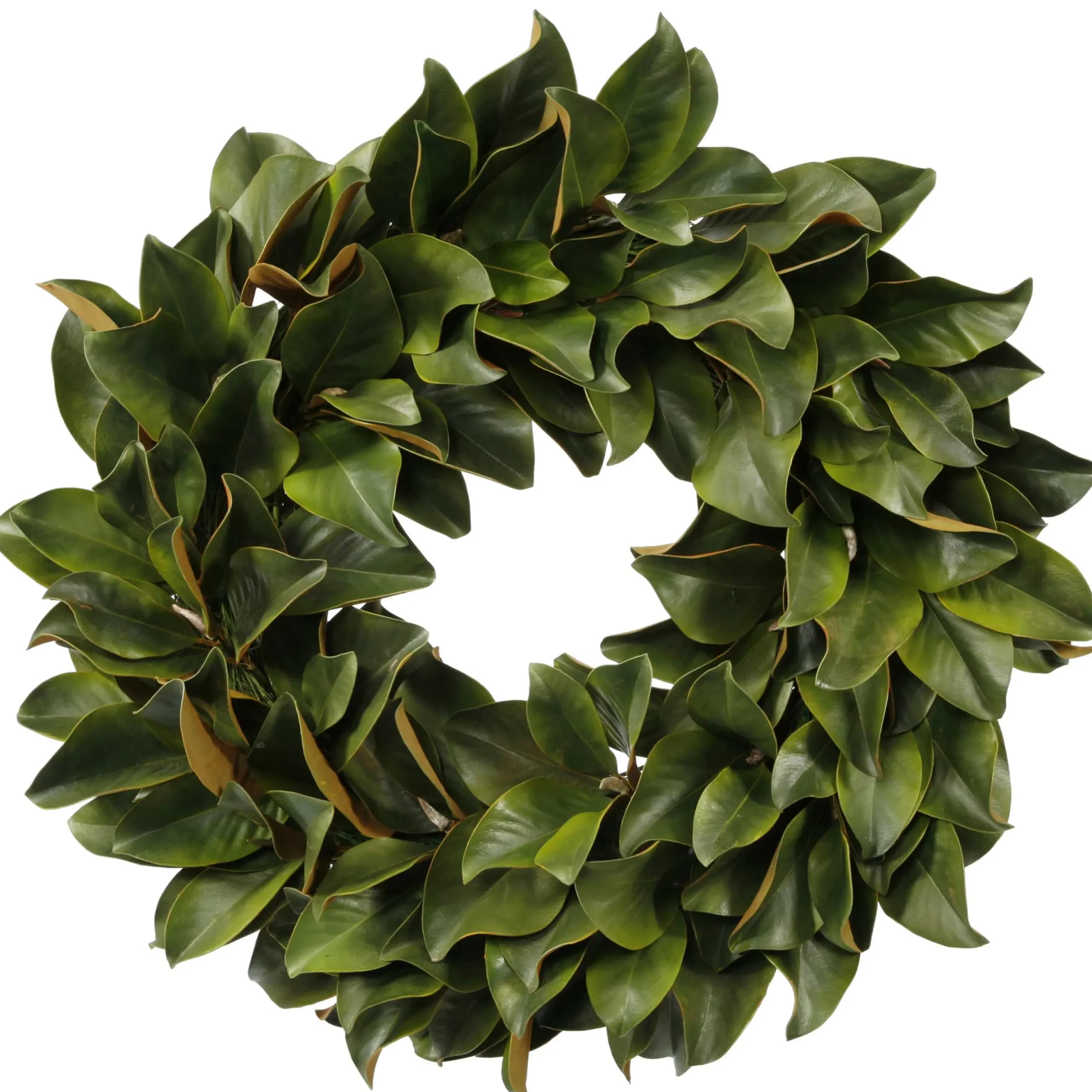 Magnolia Leaf Wreath 30"