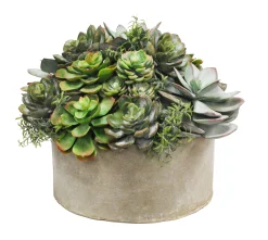 MIX SUCCULENT GARDEN PLANTER (WHD217-GRTP)