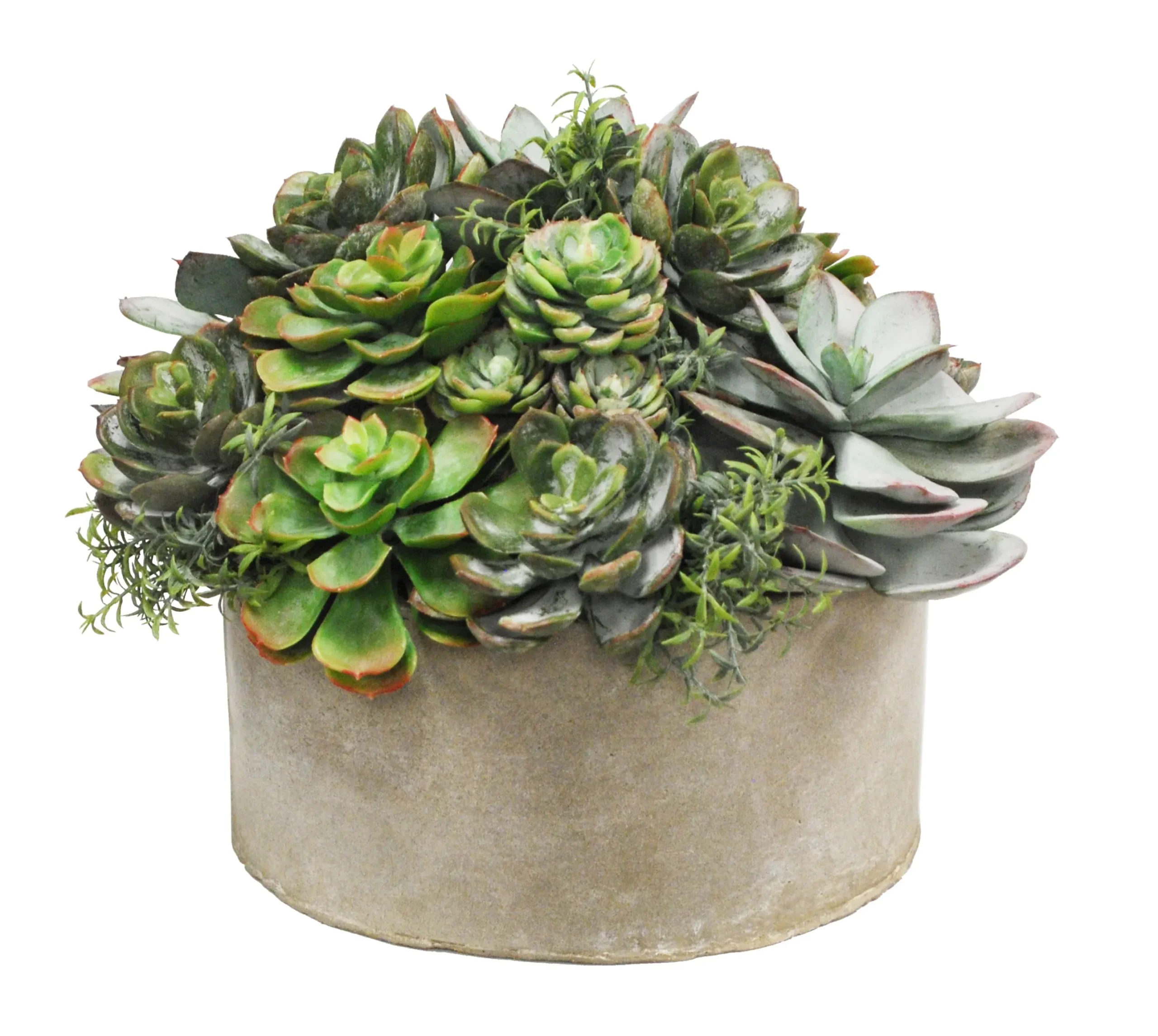 MIX SUCCULENT GARDEN PLANTER (WHD217-GRTP)