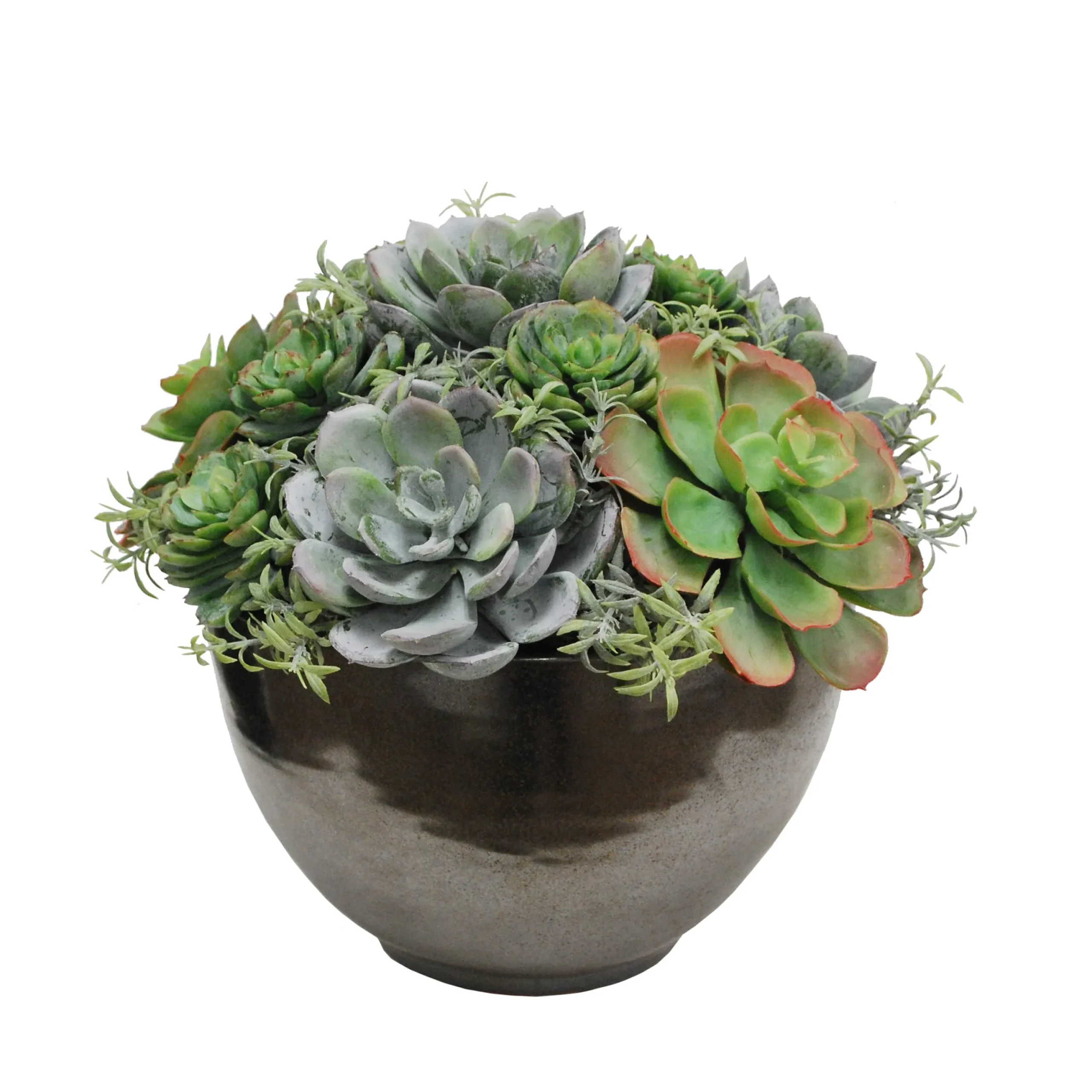 MIX SUCCULENT IN CRETE BOWL 10"