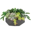 Mix Succulent in Hexagon Pot 9"