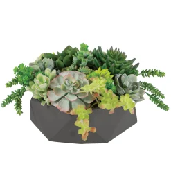 Mix Succulent in Hexagon Pot 9"