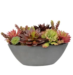 Mix Succulent in Oval Planter 10"