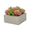 Mix Succulent in Square Planter 8.5"