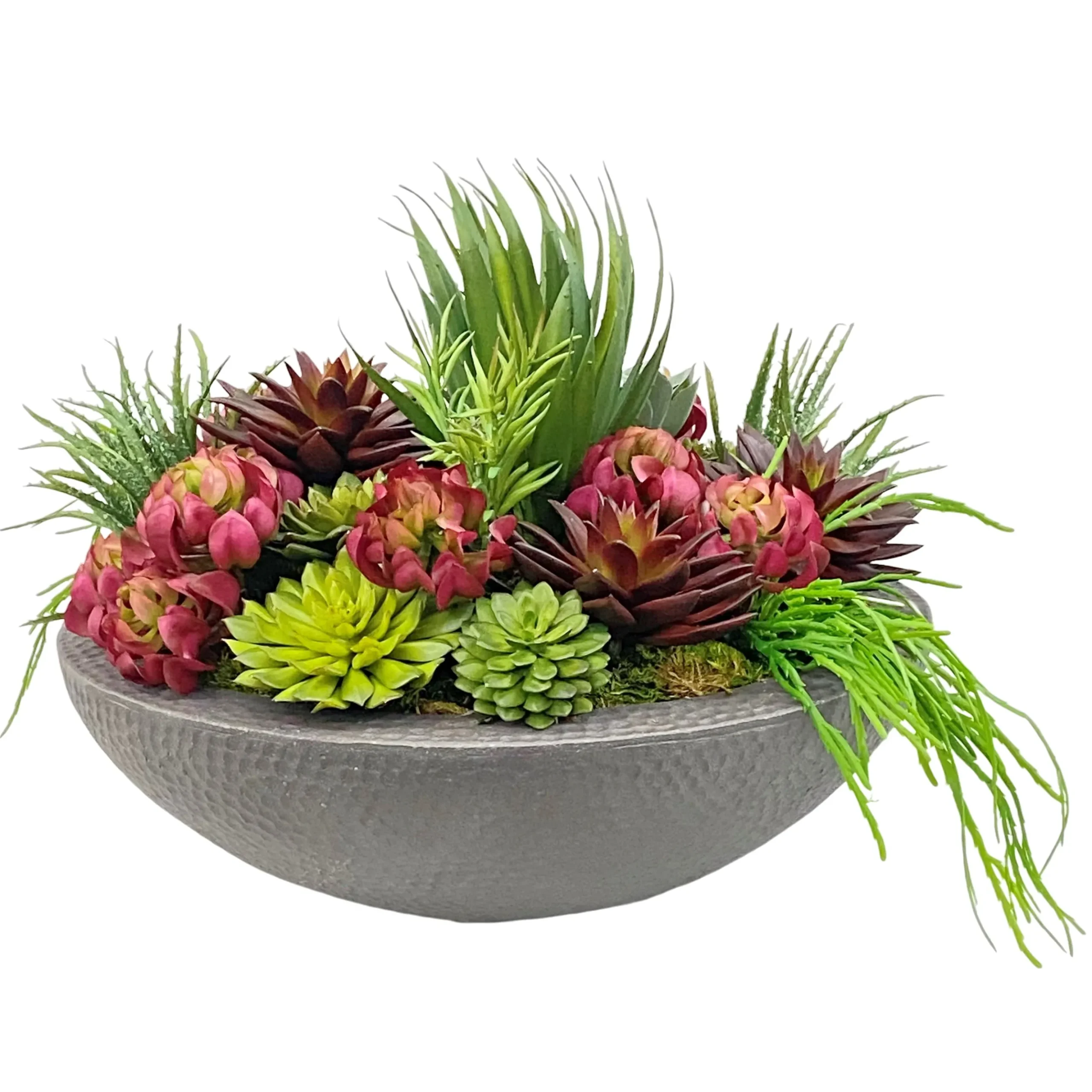 Mix Succulents in Bowl 22"