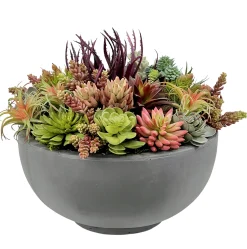 Mix Succulents in Bowl 16"