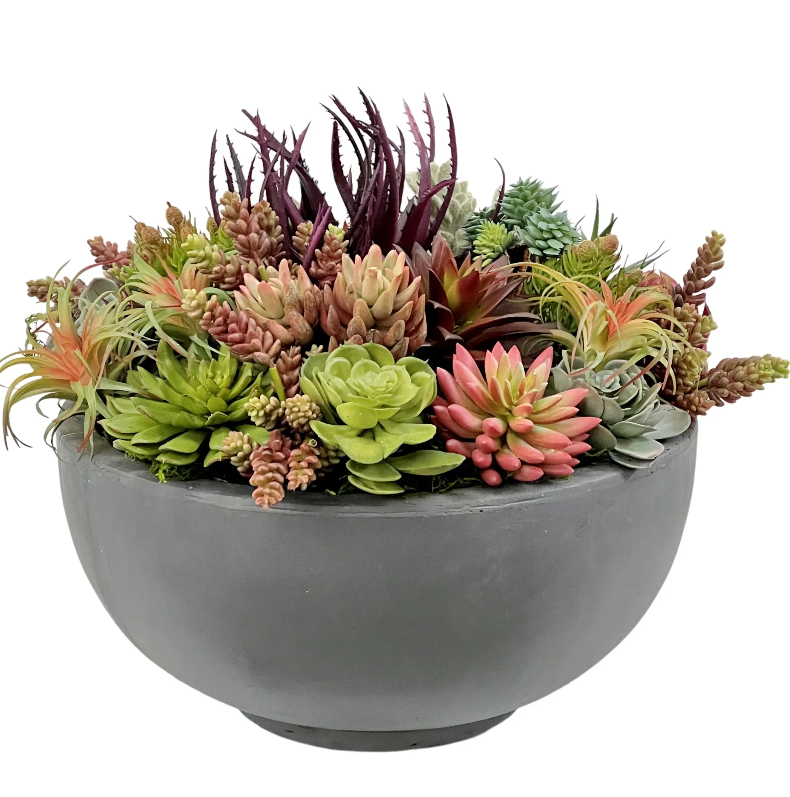 Mix Succulents in Bowl 16"