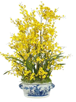 ONCIDIUM IN CERAMIC POT WITH HANDLE 43"
