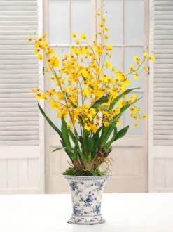 ONCIDIUM ORCHID CHINOISERIE (DP768-YL)