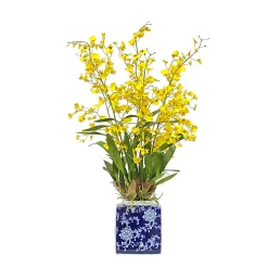 Oncidium Orchid in Blue & White Pot 31-inches tall
