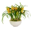ORCHID CYMBIDIUM IN BOWL (WHD307-YLGR)