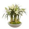 ORCHID CYMBIDIUM IN PLANTER 27"