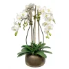 Orchid in Antique Pot 28"