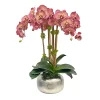 Orchid in Artisanal Pot 24"