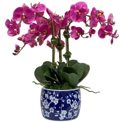 Orchid in Blossom Planter 22"