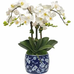 Orchid in Blossom Planter 22"