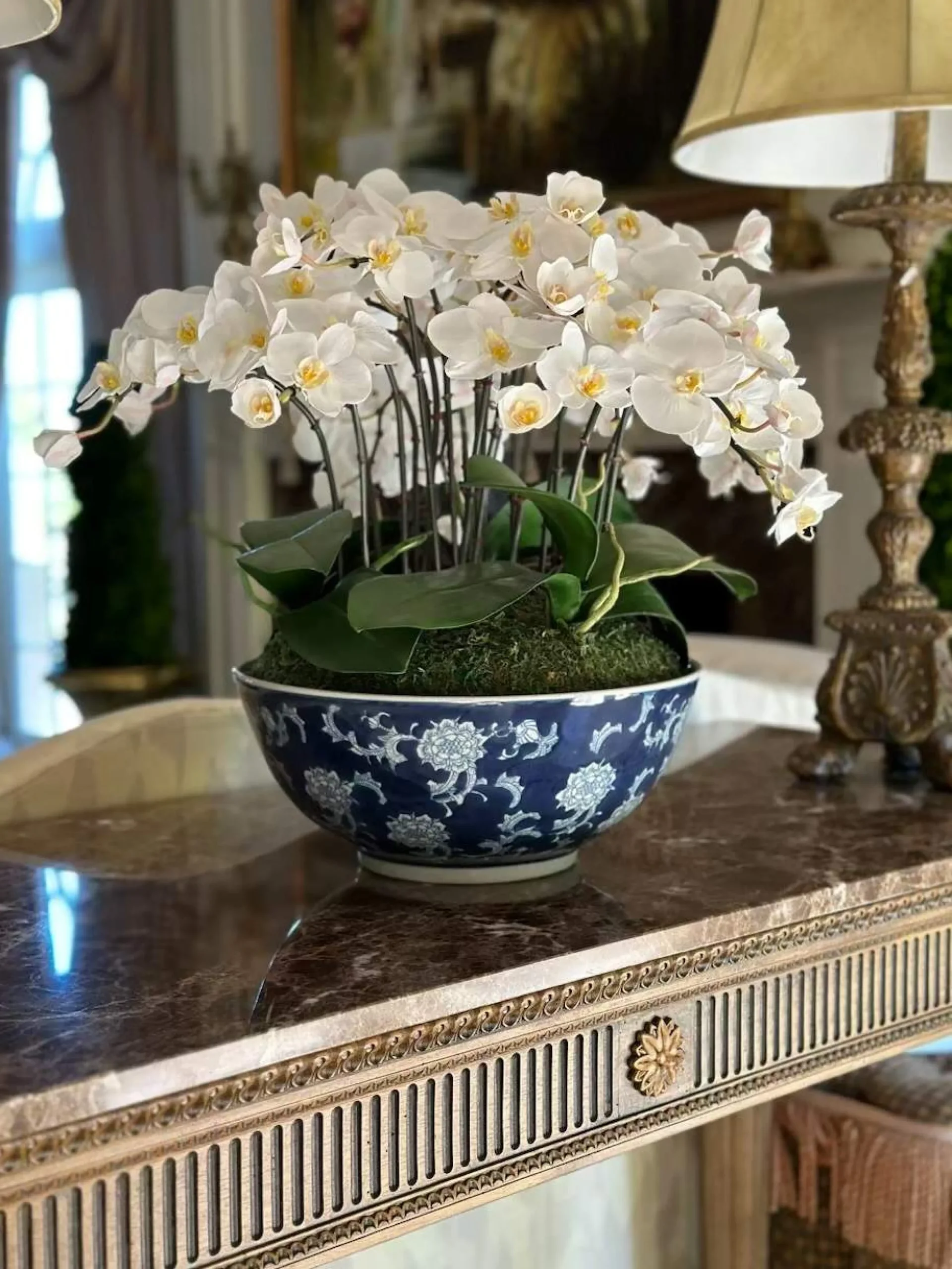 Orchid in Longlife Bowl 19"