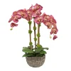 ORCHID IN MODERN BOWL 23"