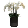 ORCHID IN RECTANGLE VASE 42"