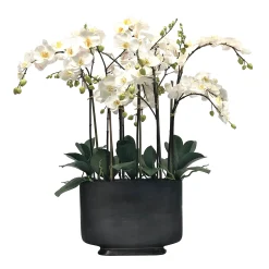 ORCHID IN RECTANGLE VASE 35"