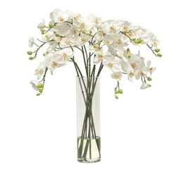 Orchid in Slim Vase 21"